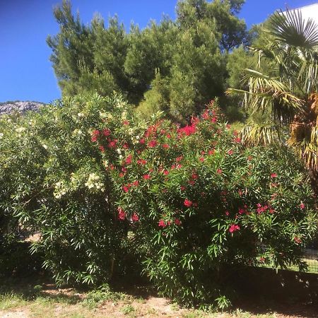 Sabina Apartments Omis Exterior photo