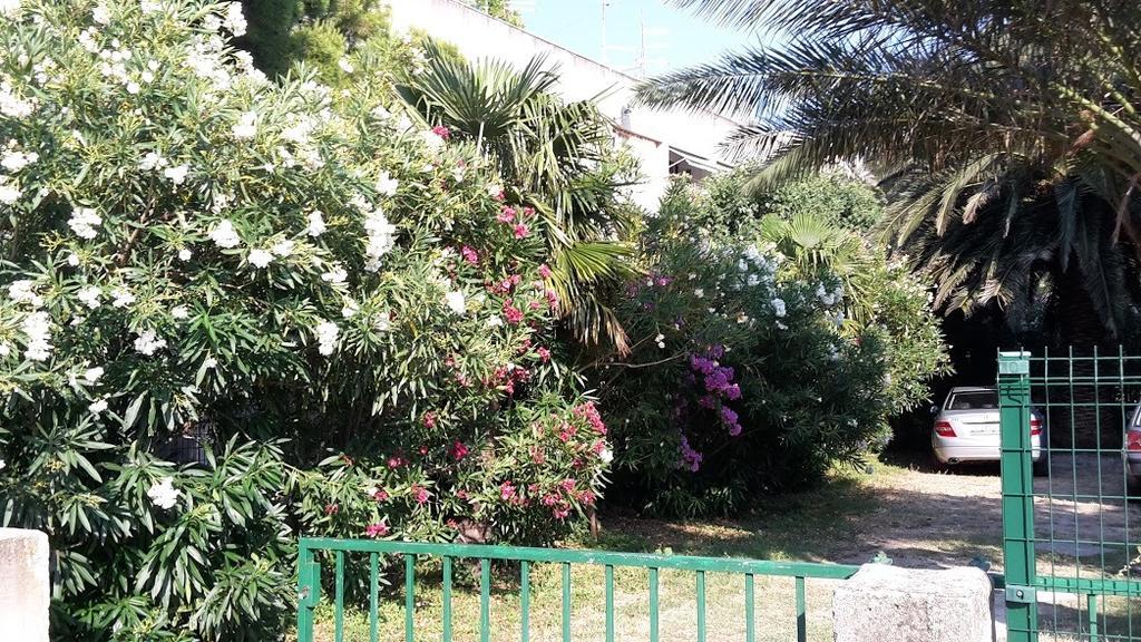 Sabina Apartments Omis Room photo